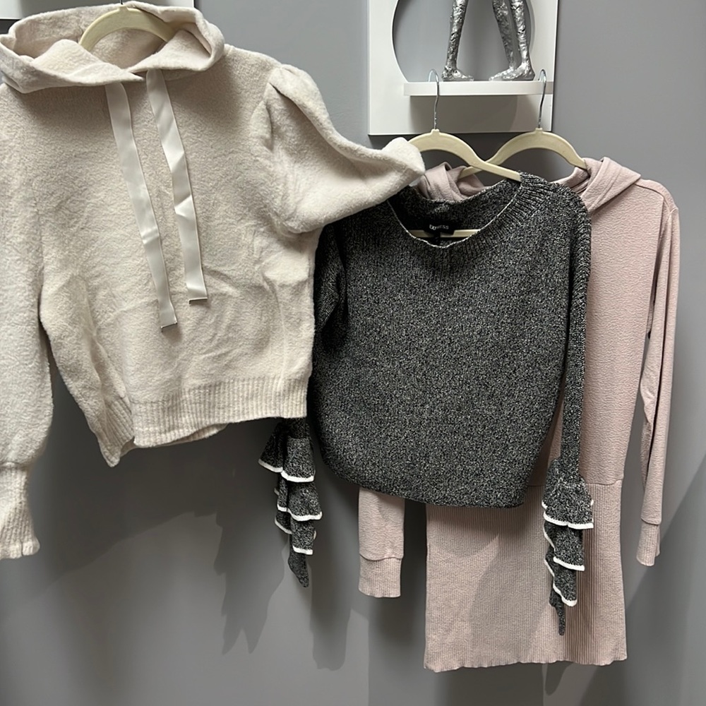 Express sweaters size small